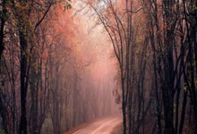 欧国联盘点：看看那些背后的故事