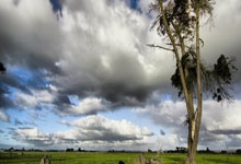 欧国联盘点：看看那些背后的故事